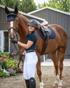 horse tack