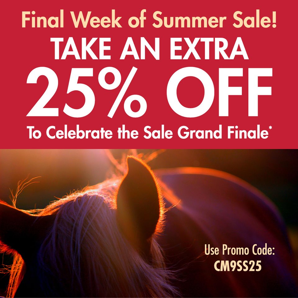 Take an Extra 25% Off to Celebrate the Sale Grand Finale